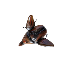 Cargar imagen en el visor de la galería, Polinizadores de barro betus