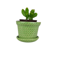 Cargar imagen en el visor de la galería, Maceta capulineada cónica mediana, para interiories o exteriores