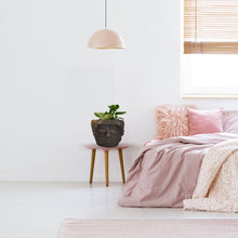 Cargar imagen en el visor de la galería, Maceta Manuela, rostro zapoteca de forma ancha