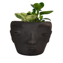 Cargar imagen en el visor de la galería, Maceta Prudencio, rostro zapoteca de forma ancha
