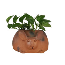Cargar imagen en el visor de la galería, Maceta con forma de conejo de doble cara de alfarería prehispánica
