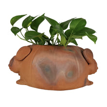 Cargar imagen en el visor de la galería, Maceta con forma de conejo de doble cara de alfarería prehispánica