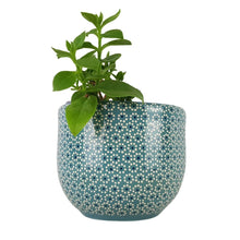 Cargar imagen en el visor de la galería, Maceta capulineada mediana, para interiores o exteriores