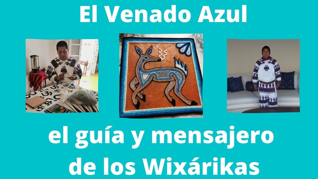 Venado azul, Guía y Mensajero Wixárika