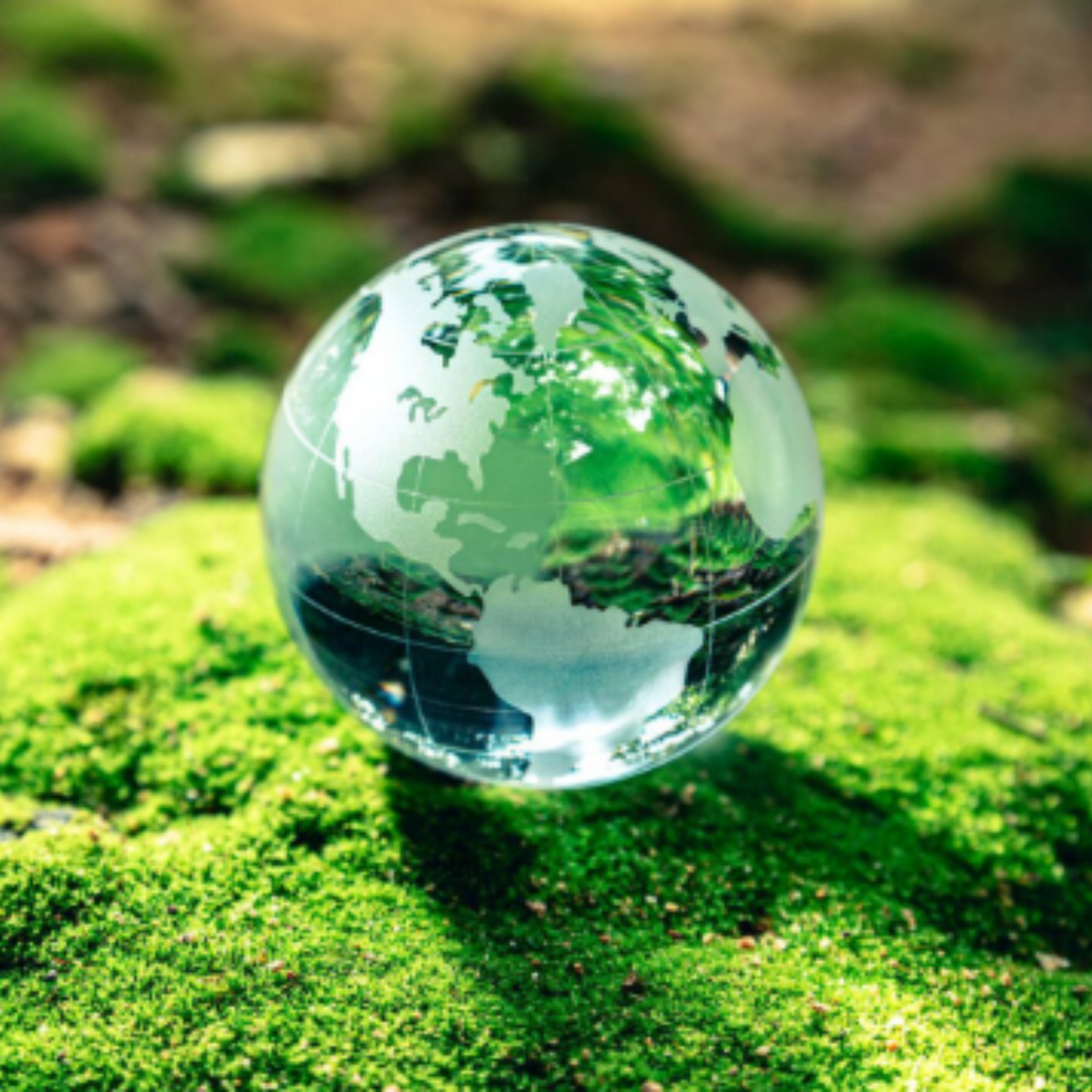 Globo terráqueo sobre musgo