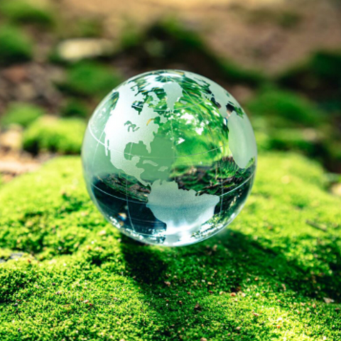 El Día Mundial del Medio Ambiente, y la Actividad Artesanal