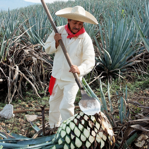 Los oficios más tradicionales de México
