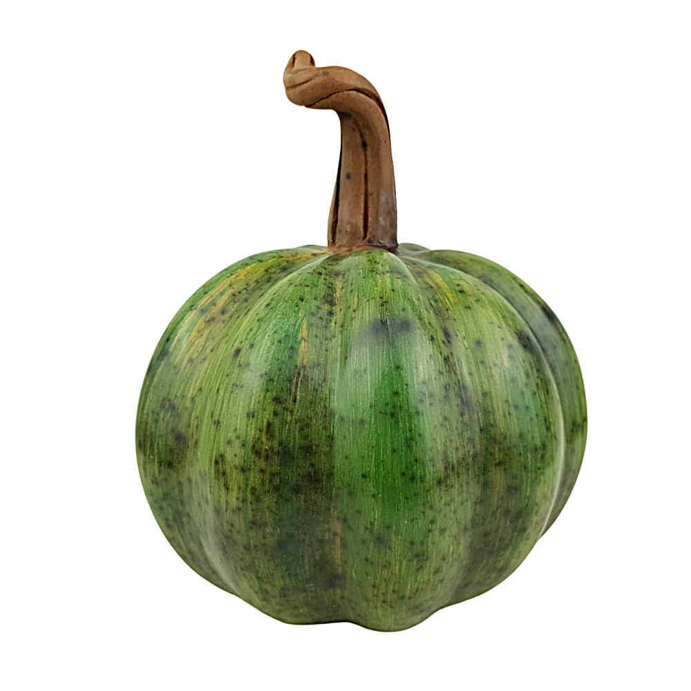 Calabaza barro bruñido