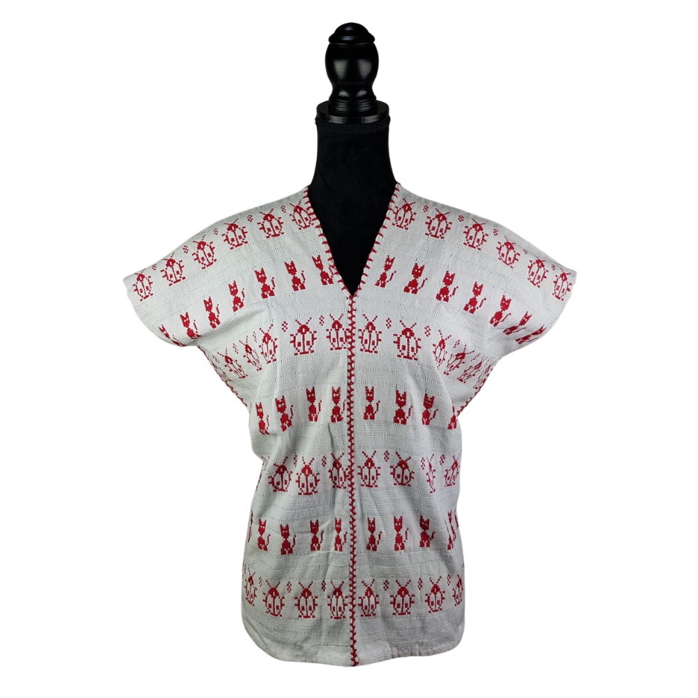 Blusa tipo huipil elaborada en San Juan Cotzocón, Oaxaca