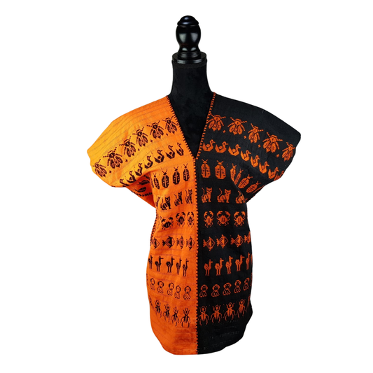 Blusa tipo huipil elaborada en San Juan Cotzocón, Oaxaca