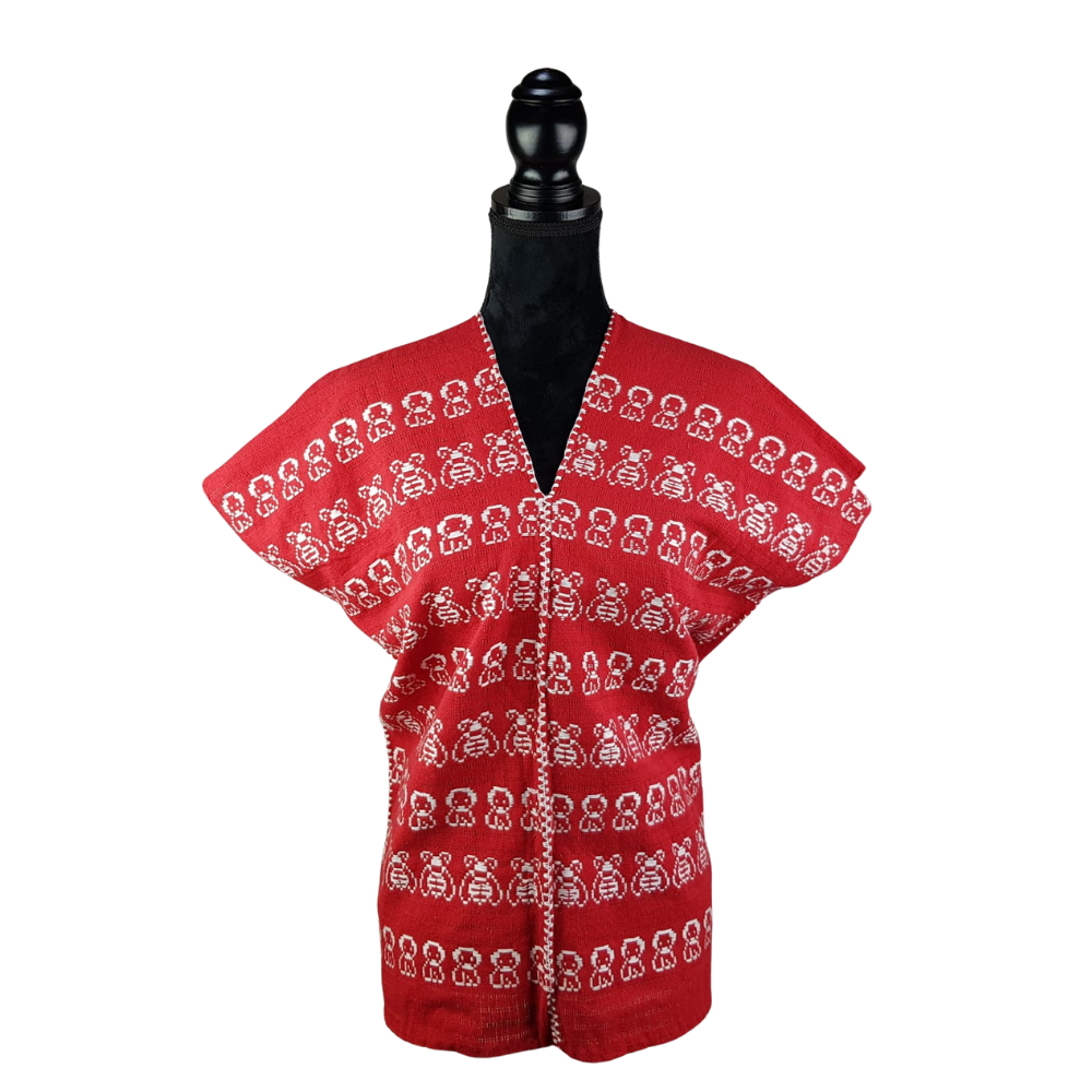 Blusa tipo huipil elaborada en San Juan Cotzocón, Oaxaca