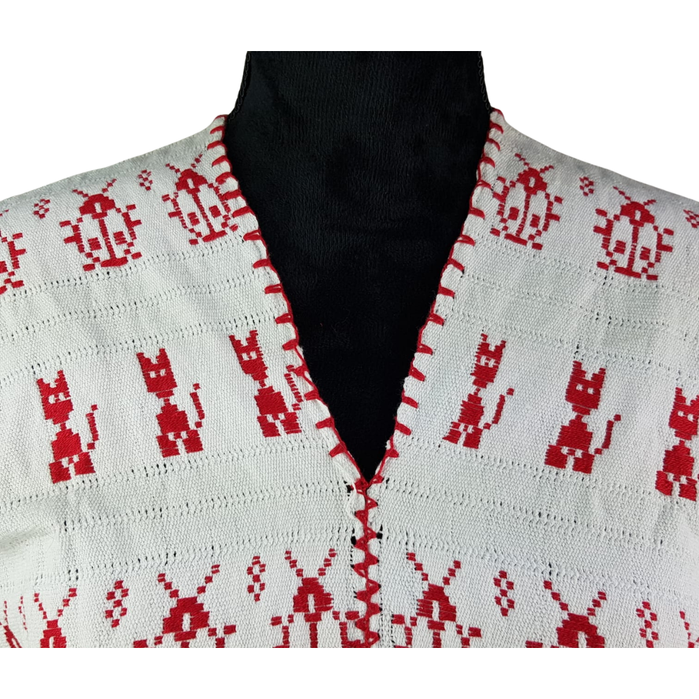 Blusa tipo huipil elaborada en San Juan Cotzocón, Oaxaca
