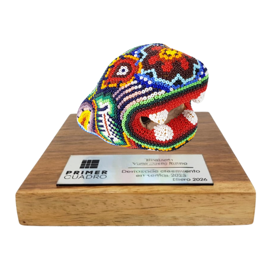 Premio Cabeza de Jaguar en Arte Wixárika | Pieza de Lujo