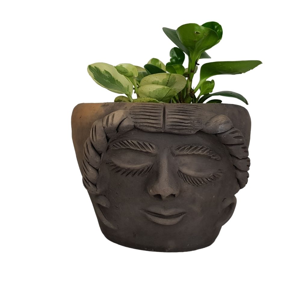 Maceta Manuela, rostro zapoteca de forma ancha