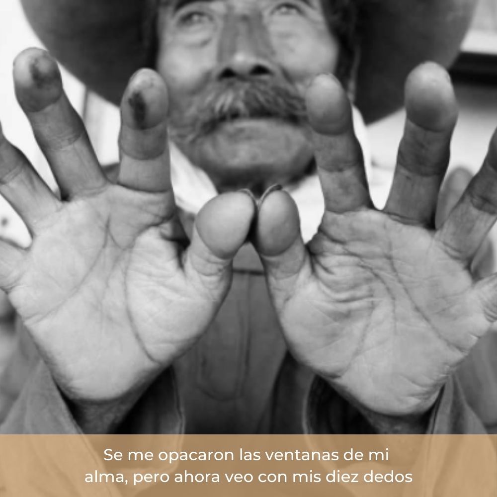 Maceta Teresita, rostro de mujer con trenza tamaño chico