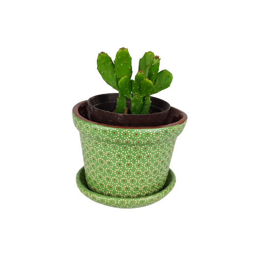 Maceta capulineada cónica mediana, para interiories o exteriores