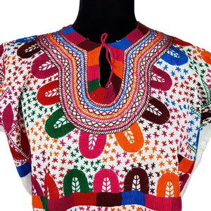 Blusa tradicional chiapaneca con bordado de milpas
