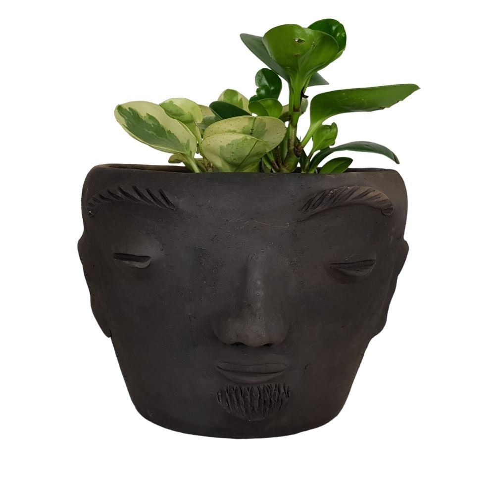 Maceta Prudencio, rostro zapoteca de forma ancha