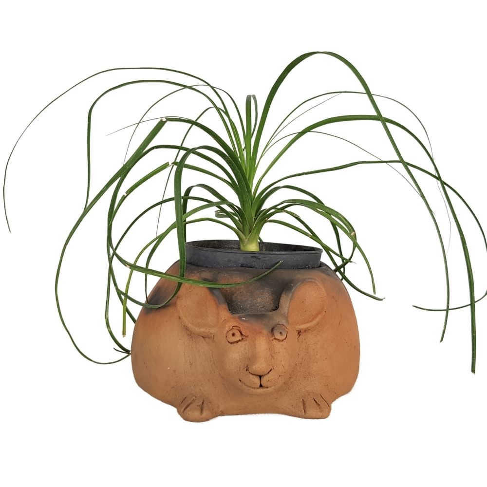 Maceta chica doble cara de conejo de alfarería prehispánica,