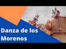 Cargar y reproducir el video en el visor de la galería, Máscara ceremonial de coyote con bigotes de arcoíris, capitán #1 del baile de los Morenos
